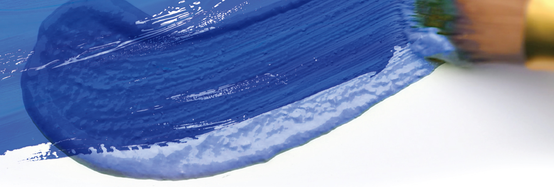 Dorothy Yung Art Blue Header